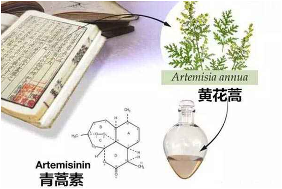 乐鱼在线,乐鱼（中国）：向中医药看齐，与世界共享中医药文化(图1)